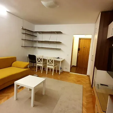 Studio Prisaca Dornei-2